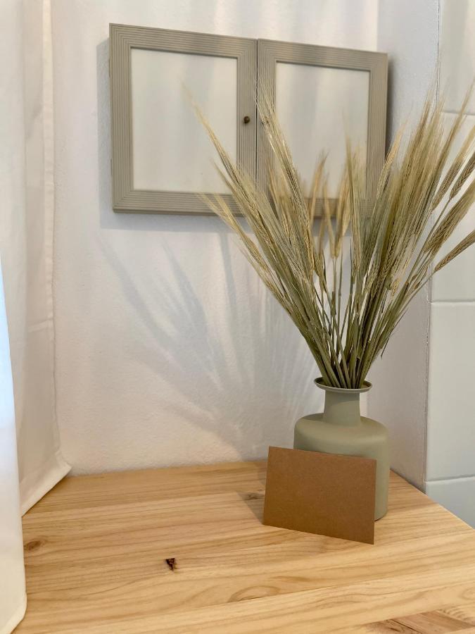 Apartamentos Carabela 米乔尔海滩 外观 照片